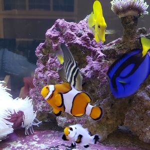 Meet your Posher, April